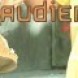 Audience 4.03