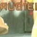 D�but r�ussi pour 