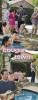 Cougar Town Fonds de page autour de Cougar Town 