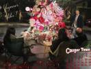 Cougar Town Calendriers du quartier 