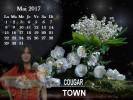 Cougar Town Calendriers du quartier 