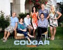 Cougar Town Affiches de fans autour de Cougar Town 