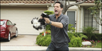 Cougar Town, saison 2, &eacute;pisode 8